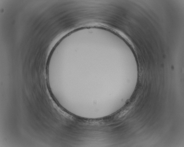 X0000078230951200612011536