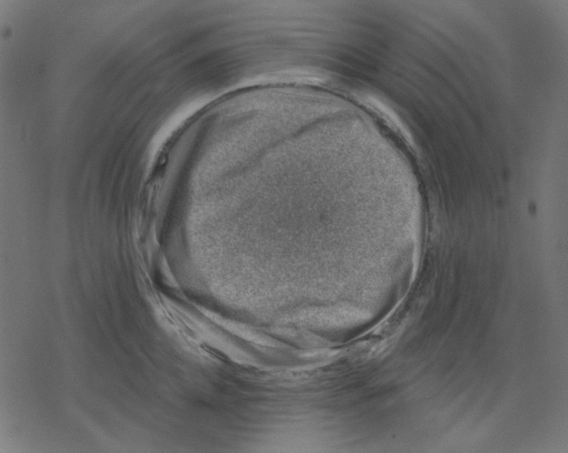 X0000078230952200612011536