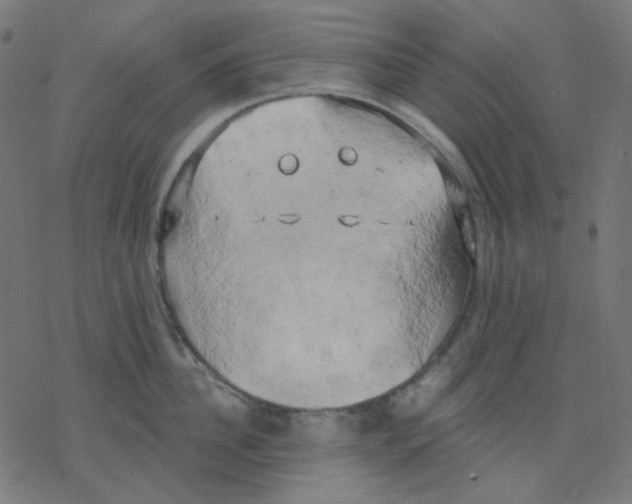 X0000078230956200612011536