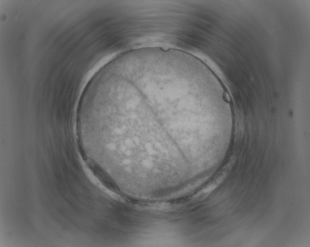 X0000078230957200612011536