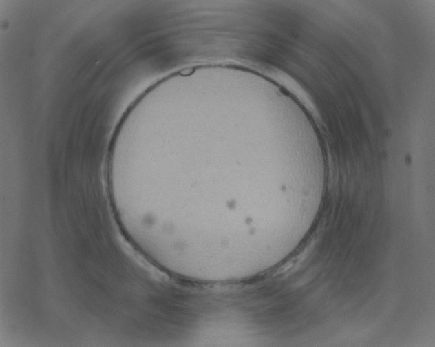 X0000078230958200612011536