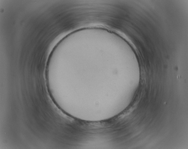 X0000078230959200612011536