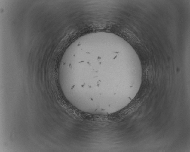 X0000078230961200612011536