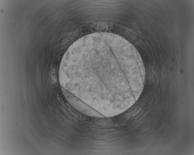 X0000078230962200612011536