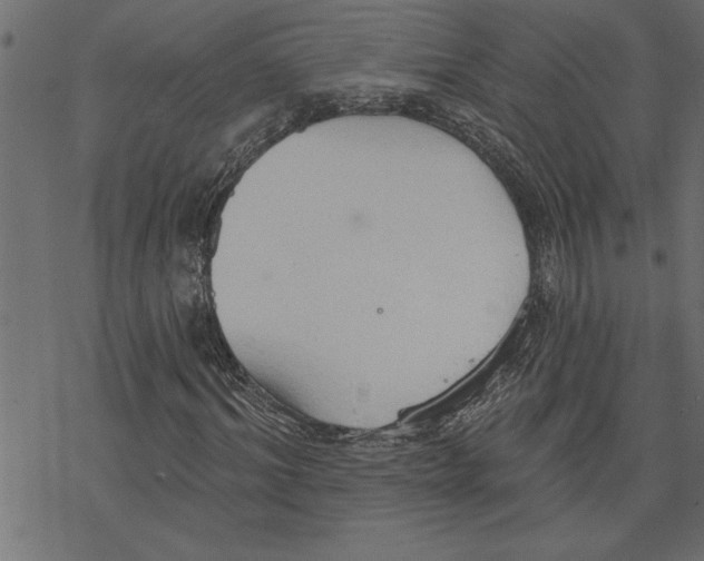 X0000078230964200612011536