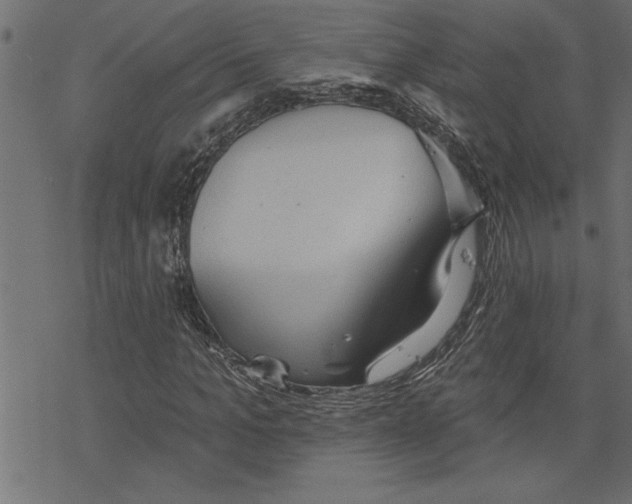 X0000078230965200612011536