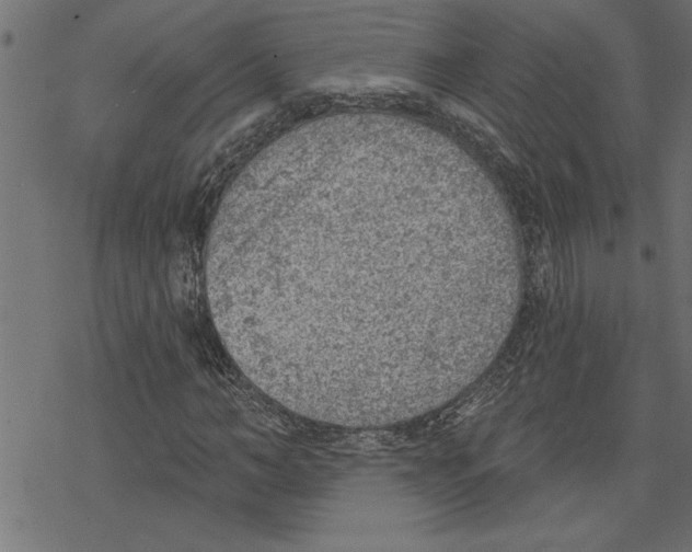 X0000078230966200612011536