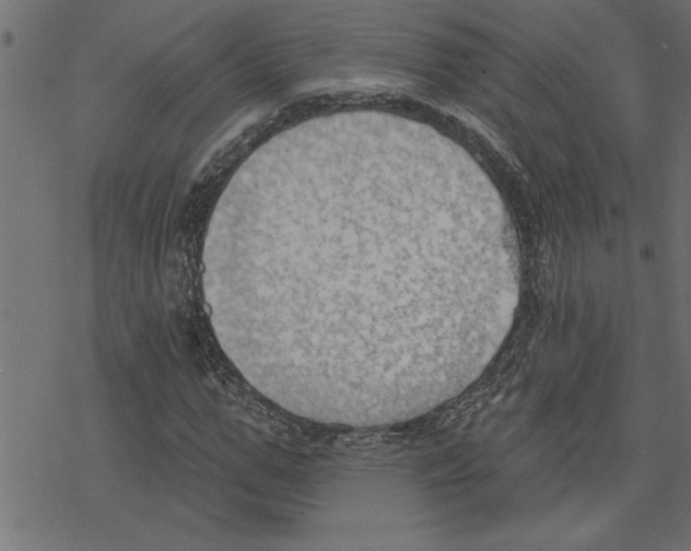 X0000078230967200612011536