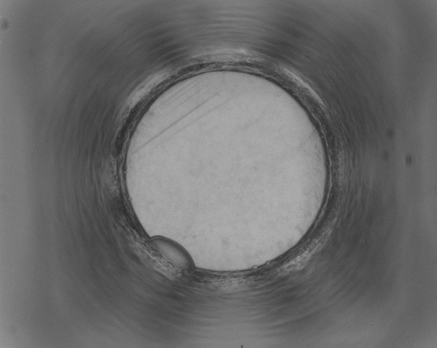 X0000078230970200612011536