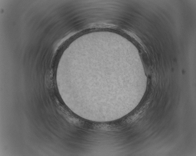 X0000078230971200612011536