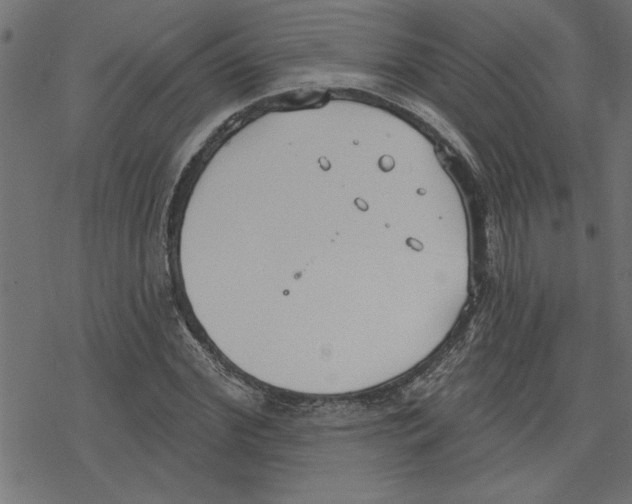 X0000078230972200612011535