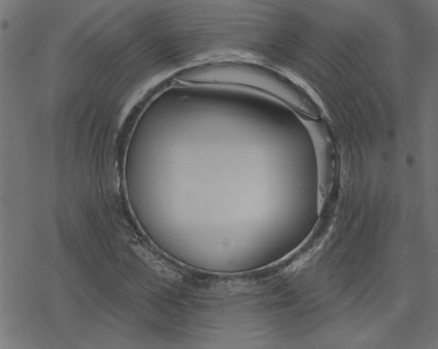 X0000078230973200612011535