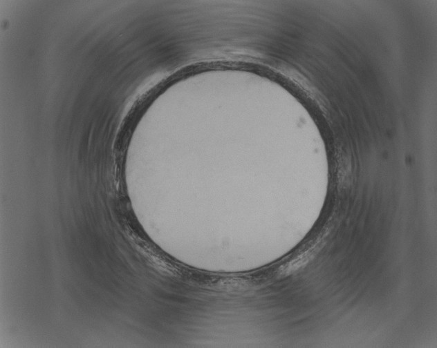 X0000078230974200612011535