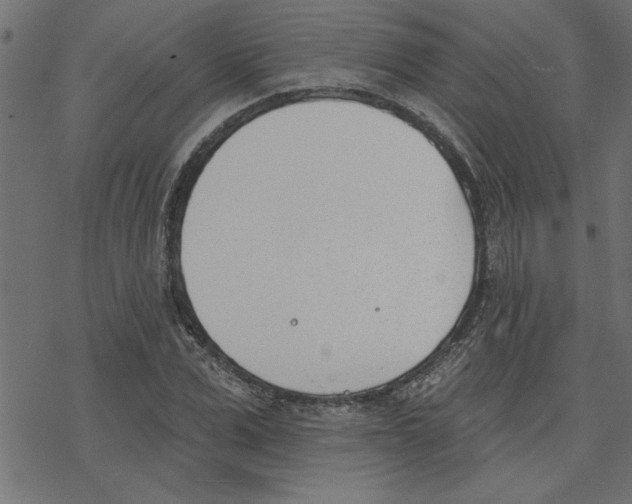 X0000078230975200612011535