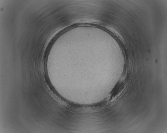 X0000078230976200612011535