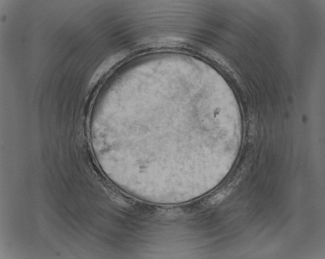 X0000078230978200612011535