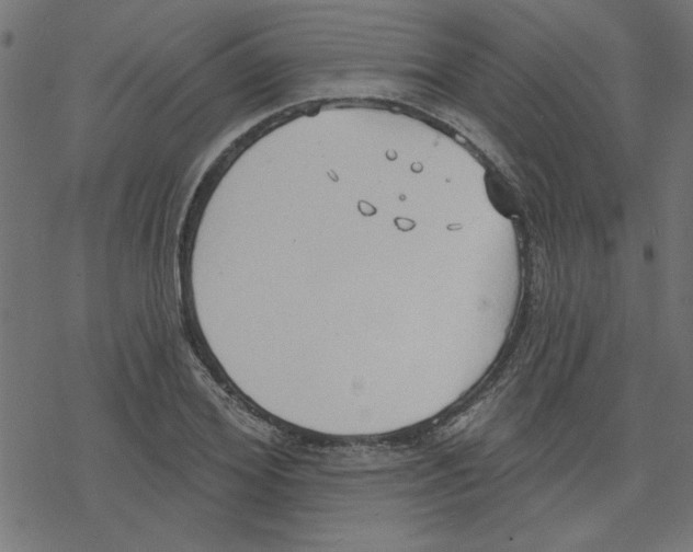 X0000078230980200612011535