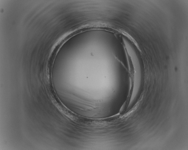 X0000078230981200612011535