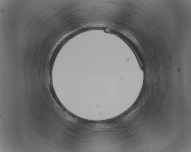 X0000078230984200612011535