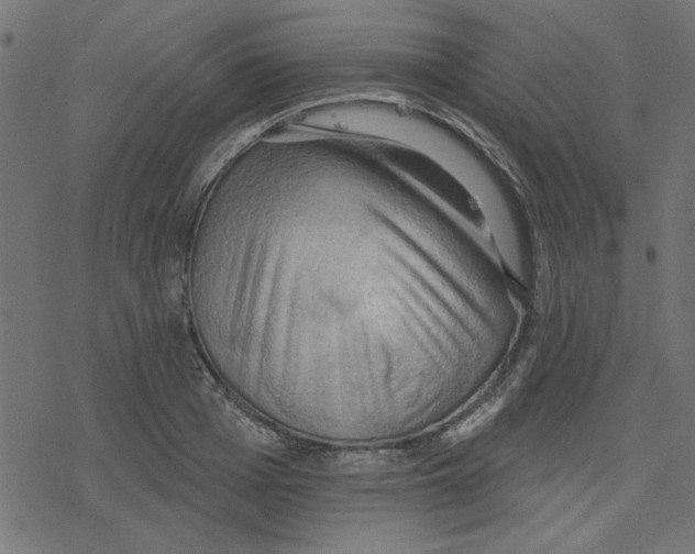 X0000078230985200612011535