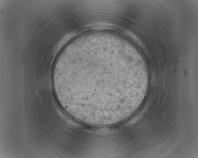 X0000078230986200612011535