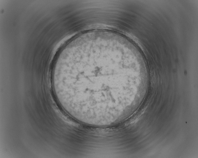 X0000078230987200612011535