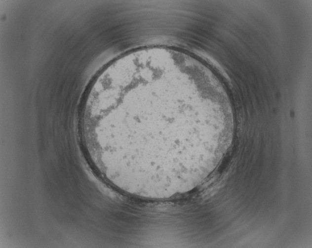 X0000078230991200612011535