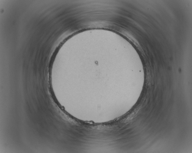 X0000078230992200612011535