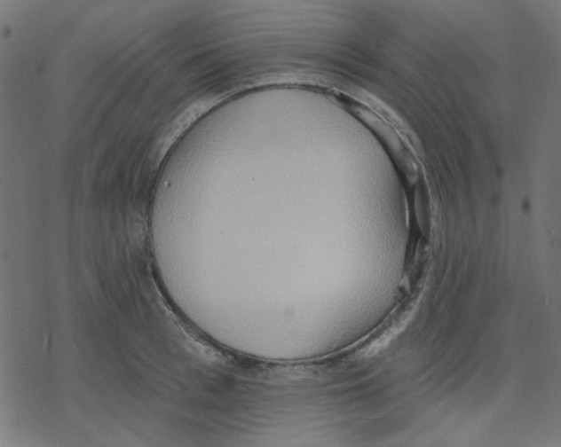 X0000078230993200612011535