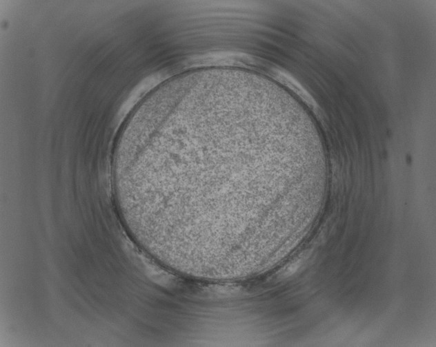 X0000078230994200612011535