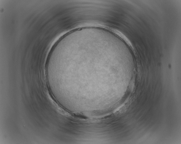 X0000078230996200612011535