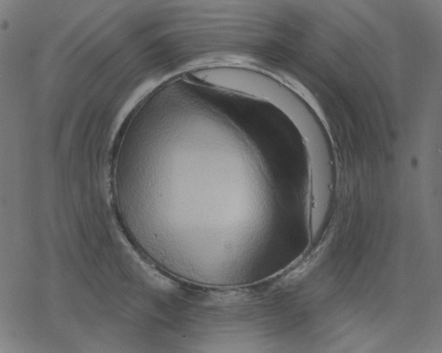 X0000078230997200612011535