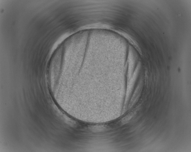 X0000078230998200612011535