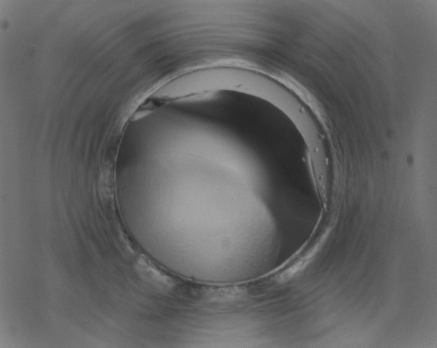 X0000078231001200612011535