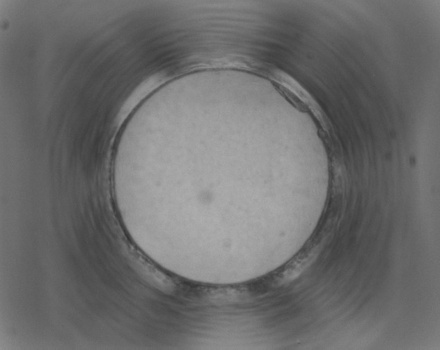 X0000078231002200612011535