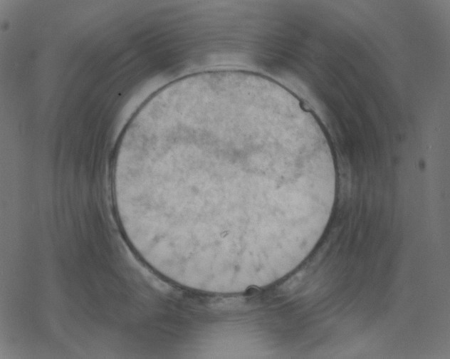 X0000078231006200612011535