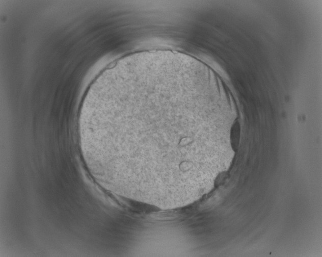 X0000078231008200612011535