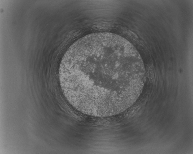 X0000078231009200612011534