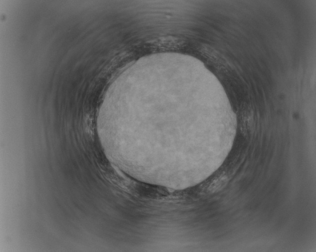 X0000078231010200612011534