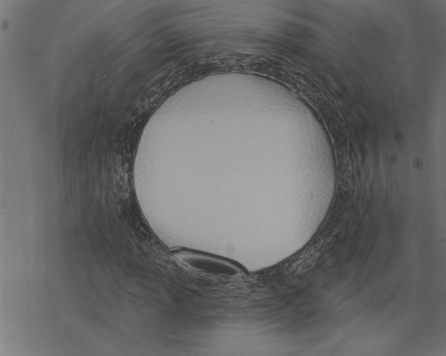 X0000078231013200612011534