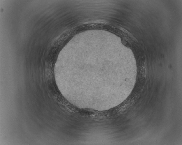 X0000078231014200612011534