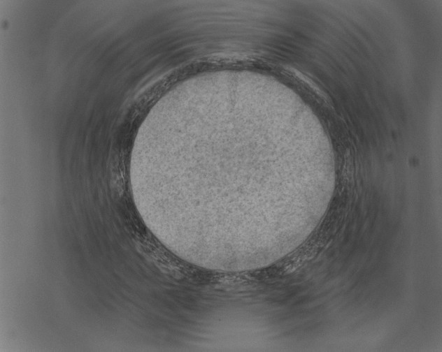 X0000078231015200612011534