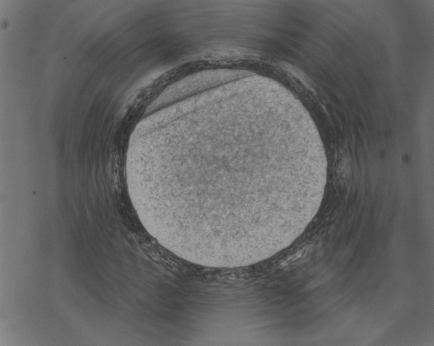 X0000078231016200612011534