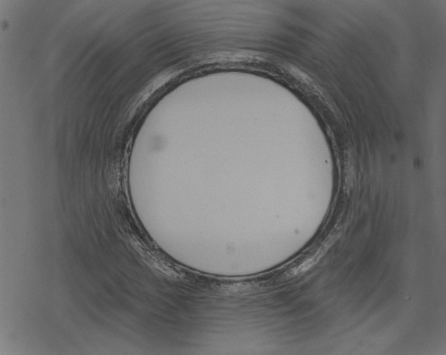 X0000078231017200612011534