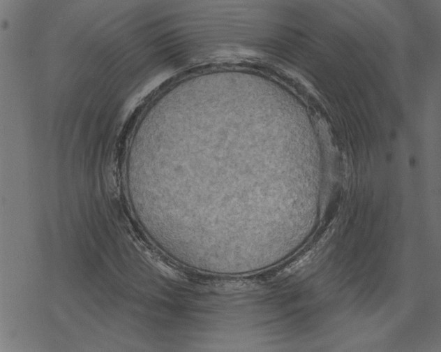 X0000078231018200612011534