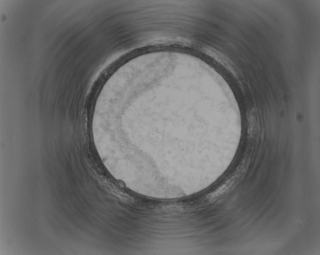 X0000078231021200612011534