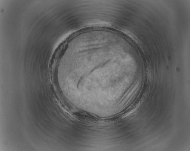 X0000078231022200612011534