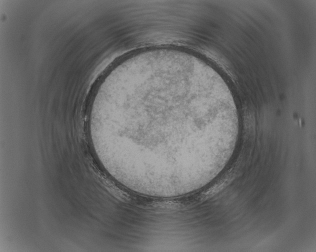 X0000078231023200612011534