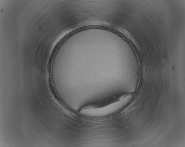 X0000078231024200612011534