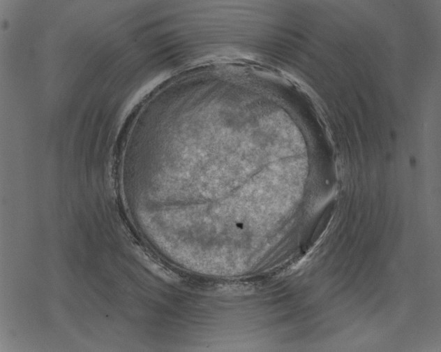 X0000078231026200612011534